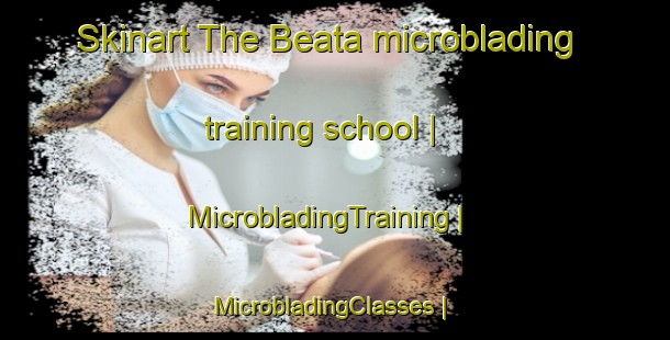 Skinart The Beata microblading training school | MicrobladingTraining | MicrobladingClasses | SkinartTraining-Pakistan